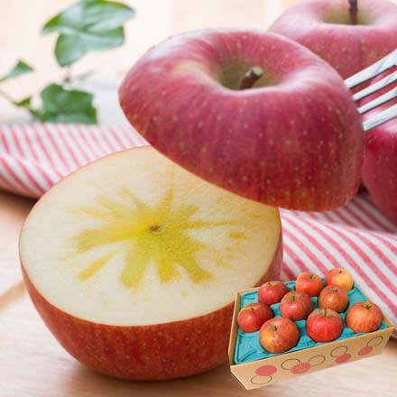 訳あり 長野県産 葉とらずふじりんご 10kg 東北ECグローバル