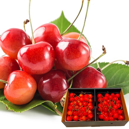 山形県産 さくらんぼ 佐藤錦 紅秀峰 秀品 表面並べ詰め 700g(350g×2p) 東北ECグローバル