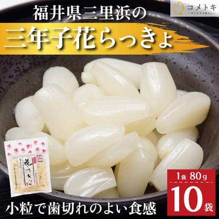 国産 らっきょう 80g×10袋 福井県 三年子 花らっきょ 花らっきょう 三年堀栽培 三里浜 sanrihama-10 七座堂