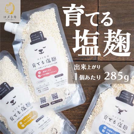 簡単手作り 育てる塩麹 135g×2袋（あめこうじ：1個 クエンさん：1個） 出来上がり量285g/個 sodateru-2set-AC 七座堂 メール便