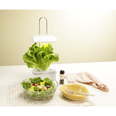 灯菜 LED水耕栽培器 Akarina15 ホワイト OMA15