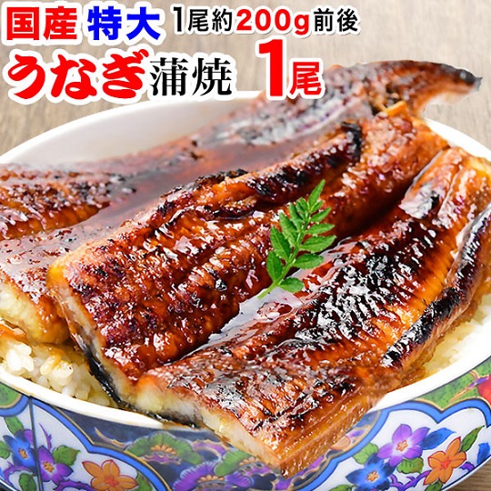 国産うなぎ蒲焼 特大200g 1尾