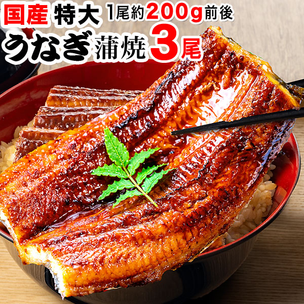 国産うなぎ蒲焼 特大200g 3尾