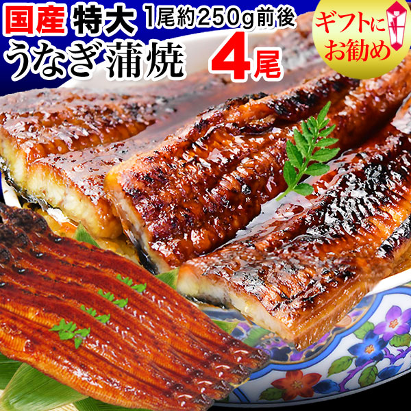 国産うなぎ蒲焼 特大250ｇ 4尾