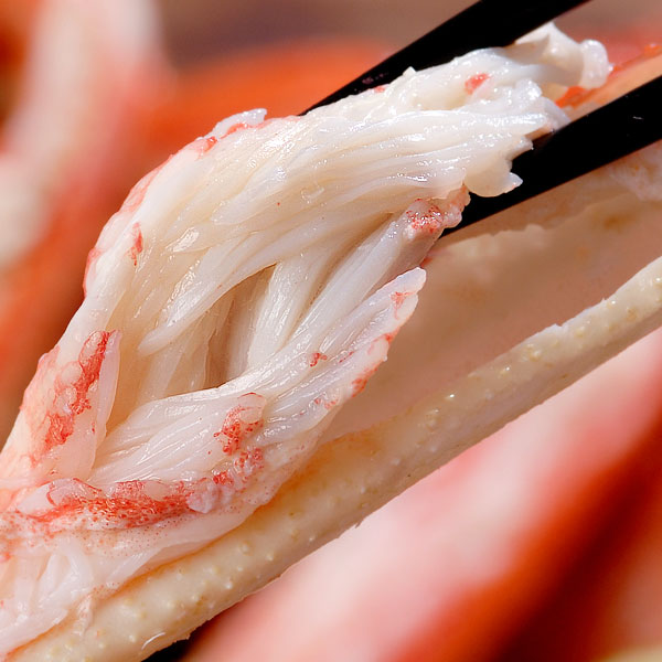 ズワイガニ脚2kg前後