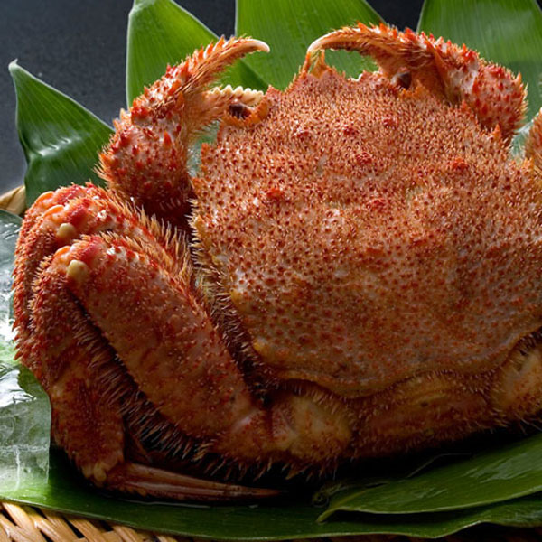 北海道産毛ガニ500g前後×2