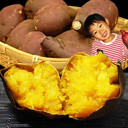 本場・種子島産の安納芋2kg