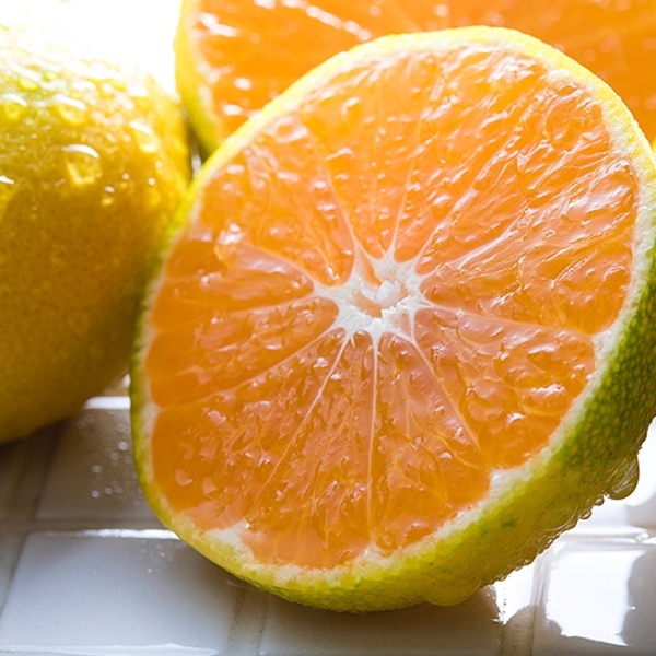 熊本県産小玉みかん3Kg