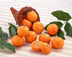 紀州木熟小みかん3kg【販売終了日:2025年11月30日】