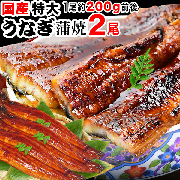 国産うなぎ蒲焼 特大 2尾