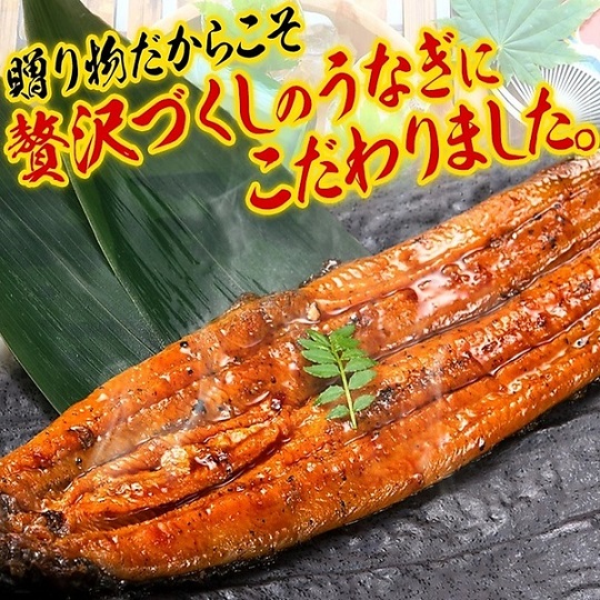 国産 特大 うなぎ 蒲焼き 2尾（合計360g以上）九州産 鰻 タレ・山椒付き