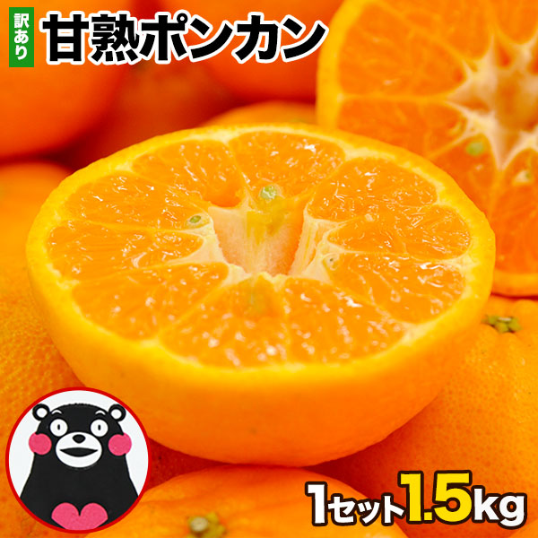 訳ありポンカン１．５ｋｇ