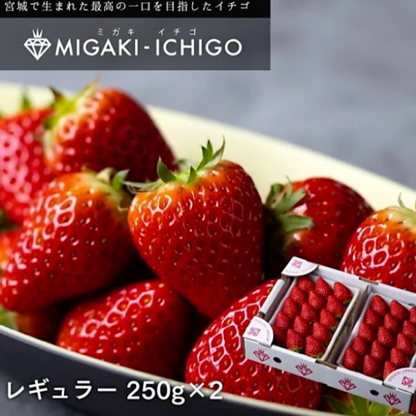 母の日宮城県産ミガキイチゴ約250g×2