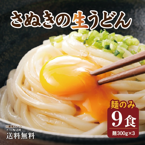 本場 讃岐生うどん 麺300g×3袋 9食セット 麺のみ