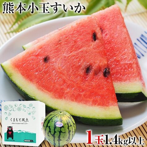 熊本小玉スイカ1.4kg以上