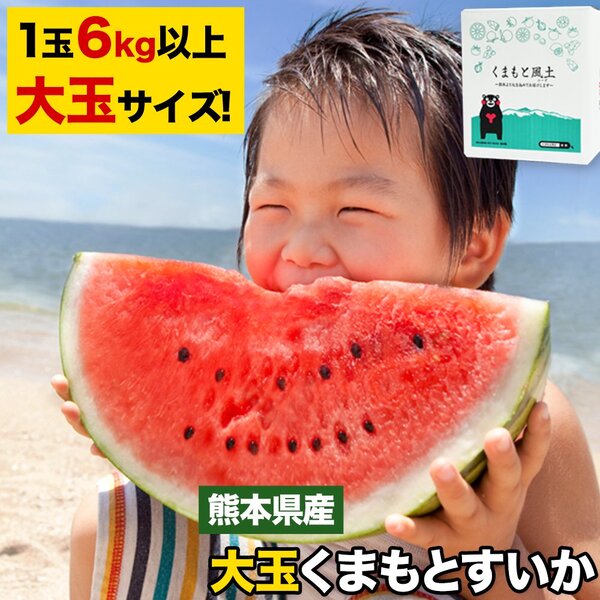 熊本大玉スイカ6kg以上