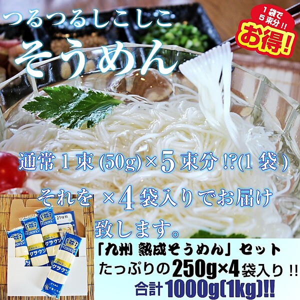 九州熟成そうめん250g(2袋：4人前）たっぷり計1キロ！つるつるシコシコ食感♪