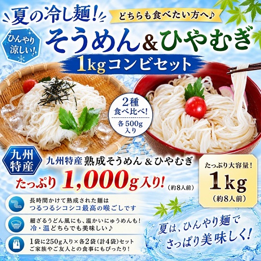 九州熟成そうめん&九州熟成ひやむぎ！各250g×2袋（4人前）計1000ｇセット