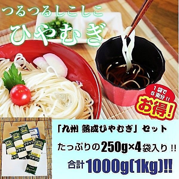 九州熟成ひやむぎ250g(2袋：4人前）たっぷり計1キロ！つるつるシコシコ食感♪