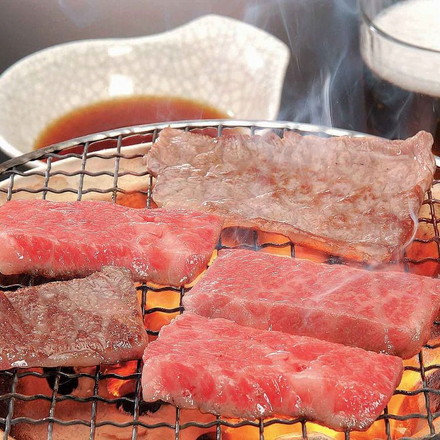 ミヤチク 宮崎牛 焼肉用 牛肉 焼肉 肉 お肉 500g 冷凍
