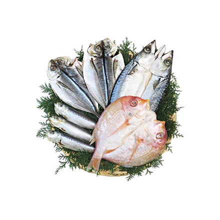 九州一夜干し4種セット