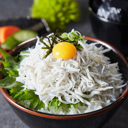 和歌山 紀州 かまあげしらす