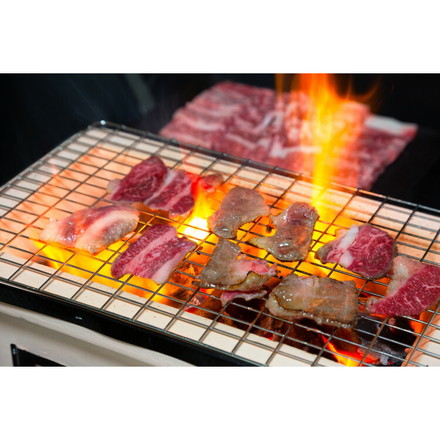 ミヤチク 宮崎牛 焼肉用