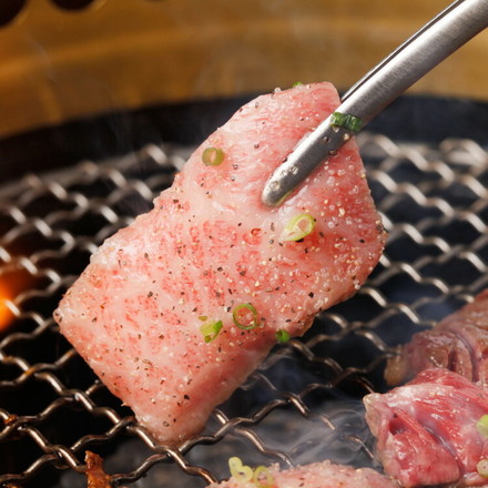 群馬 赤城山麓牛 肩ロース焼肉用 牛肉 焼肉 肉 お肉 500g 冷凍