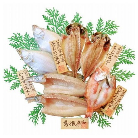 島根 岡富商店 島根沖清流干物セット エテかれい2枚（計約140g、一括真空）、あじ2枚（計約140g、一括真空）、のどぐろ1枚（約75g、個別真空）、かます1～2枚（計約170g、個別真空）