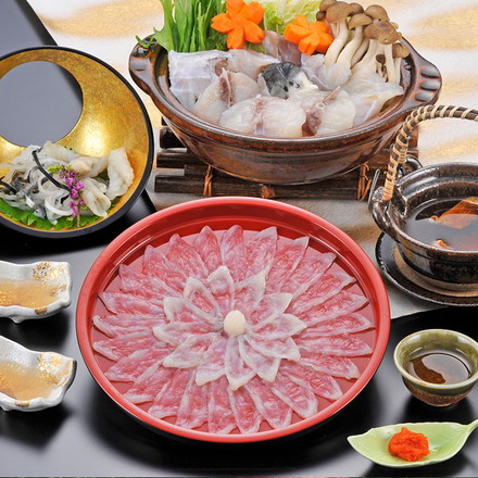 福岡 ふく太郎本部 とらふく刺身 ちりセット とらふく刺身50g（プラスチック皿21cm盛り）、とらふく皮40g、ふくちり240g（アラ：トラフグ・身：マフグ各120g）、ひれ酒用ヒレ3枚、ポン酢35g×3、モミジオロシ16g