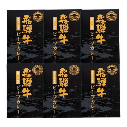 岐阜 飛騨牛カレー レトルトカレー(180g)×6