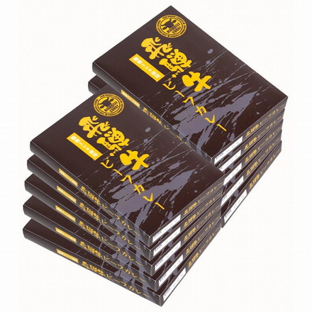 岐阜 飛騨牛 粗挽きミンチ使用 カレー 10食 牛肉 ひき肉 180g×10