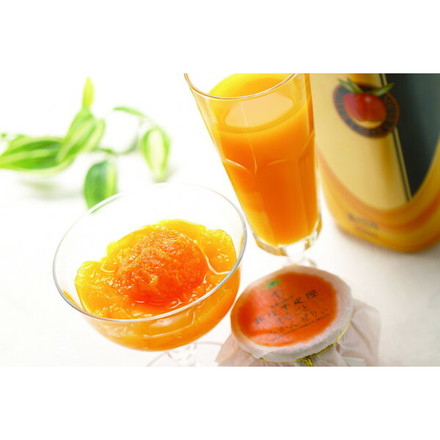 銀座千疋屋 マンゴードリンク&まるごとみかんぜりぃ