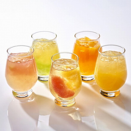 銀座千疋屋 銀座フルーツジュレ 食品 24個