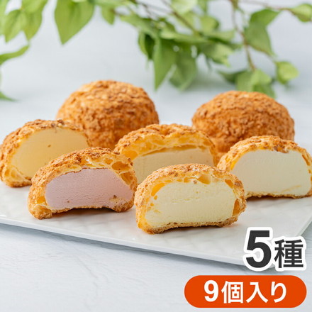 銀座千疋屋 銀座プレミアムシューアイス 9個入り 5種 シューアイス アイス シュークリーム スイーツ フルーツ 千疋屋 デザート スイーツ お取り寄せグルメ