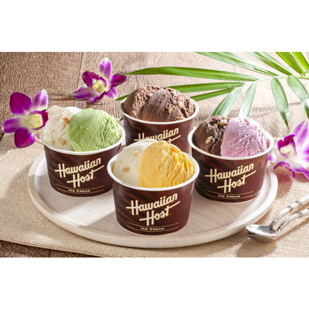 ハワイアンホースト マカダミアナッツアイス 8個 アイス アイスクリーム ナッツ マカダミア チョコアイス