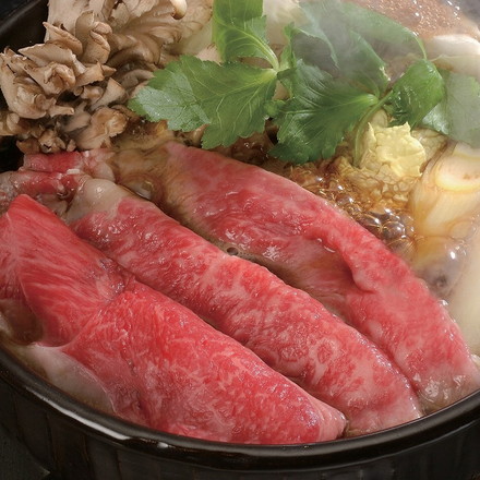 大分 豊後牛 すき焼き 計約500g 冷凍