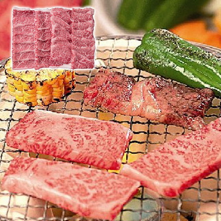 兵庫 神戸ビーフ 網焼 焼肉 400g 冷凍
