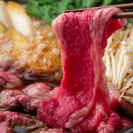 兵庫 神戸ビーフ すき焼き肉 M-2 計約400g 冷凍