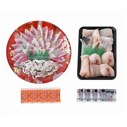 「関とら本店」 とらふく刺身 ふくちりセット とらふぐ刺身(22cm皿)40g、とらふぐ皮20g、ふぐちり(シロサバフグ切身、トラフグアラ)200g、ふくポン酢10g×4、もみじおろし10g×4
