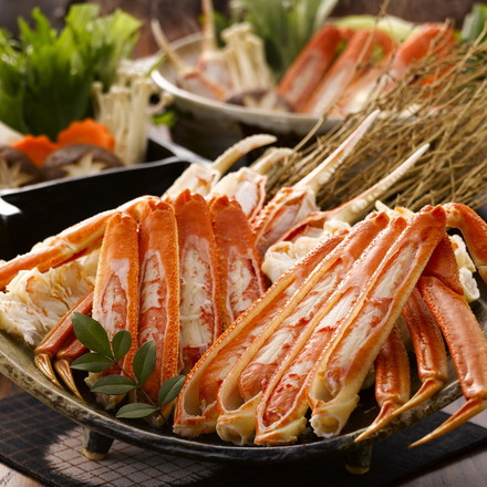 ボイルずわいがに脚 800g 冷凍