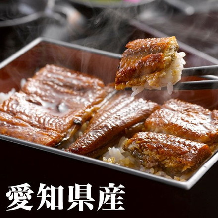 丑の日 うなぎ割烹 一愼 うなぎ蒲焼セット 55g×9 土用の丑の日 鰻 蒲焼 夏 お取り寄せグルメ