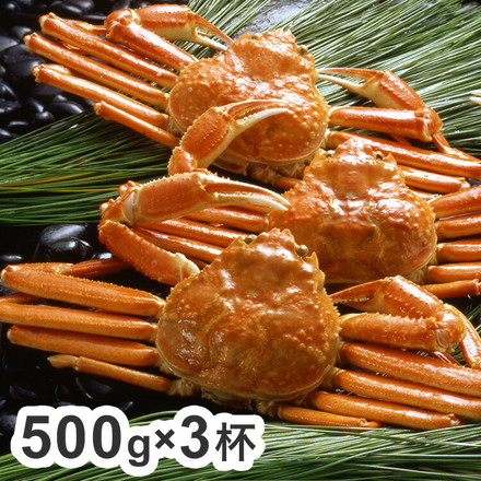 ボイル ずわいがに 蟹 姿 500g×3杯 カニ ズワイガニ