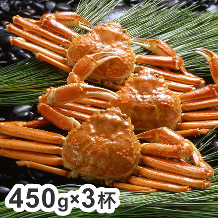ボイル ずわいがに 蟹 姿 450g×3杯 カニ ズワイガニ