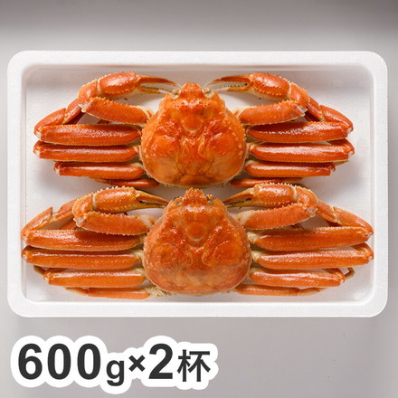 ボイル ずわいがに 蟹 姿 600g×2杯 カニ ズワイガニ