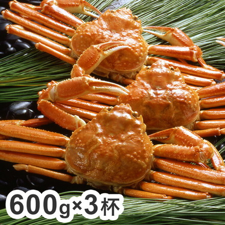 ボイル ずわいがに 蟹 姿 600g×3杯 カニ ズワイガニ