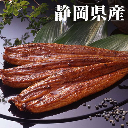 丑の日 静岡県産 浜名湖うなぎ 120g×3尾 土用の丑の日 鰻 うなぎ 夏 お取り寄せグルメ