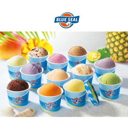 沖縄 ブルーシールアイス12個セット