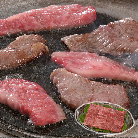 長野 信州プレミアム牛肉焼肉 400g
