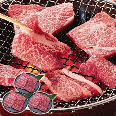 長野 信州プレミアム牛肉焼肉 600g